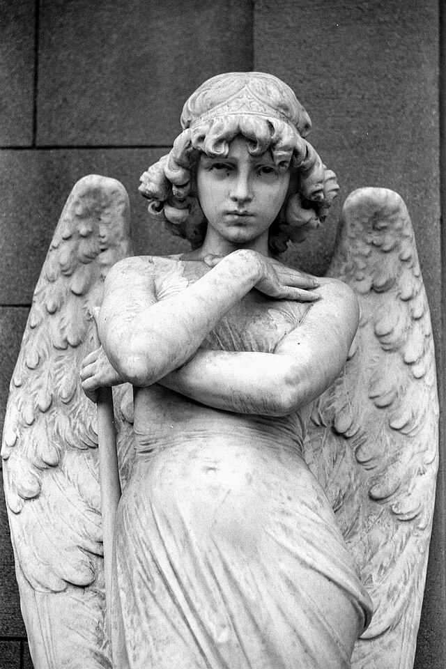 El niño perdido de&nbsp;Wolfe