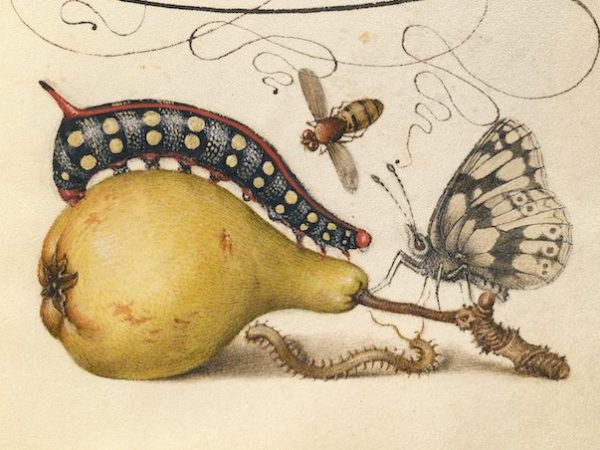 ‘La vegetariana’ es desagradable (y eso está&nbsp;bien)