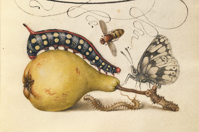 ‘La vegetariana’ es desagradable (y eso está&nbsp;bien)