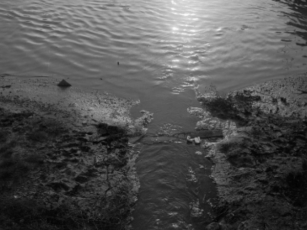 El manifiesto rural: leyendo ‘Feria’, de Ana Iris&nbsp;Simón