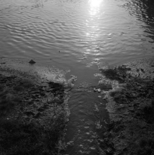 El manifiesto rural: leyendo ‘Feria’, de Ana Iris&nbsp;Simón