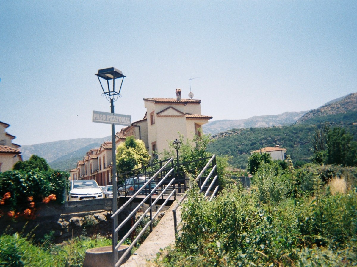 Recoger las semillas, recordar el&nbsp;camino