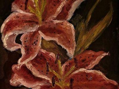 Escritura no-creativa, lectura&nbsp;creativa