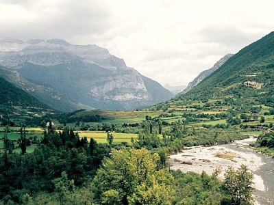 ¿Qué es eso? Eso es&nbsp;cheso