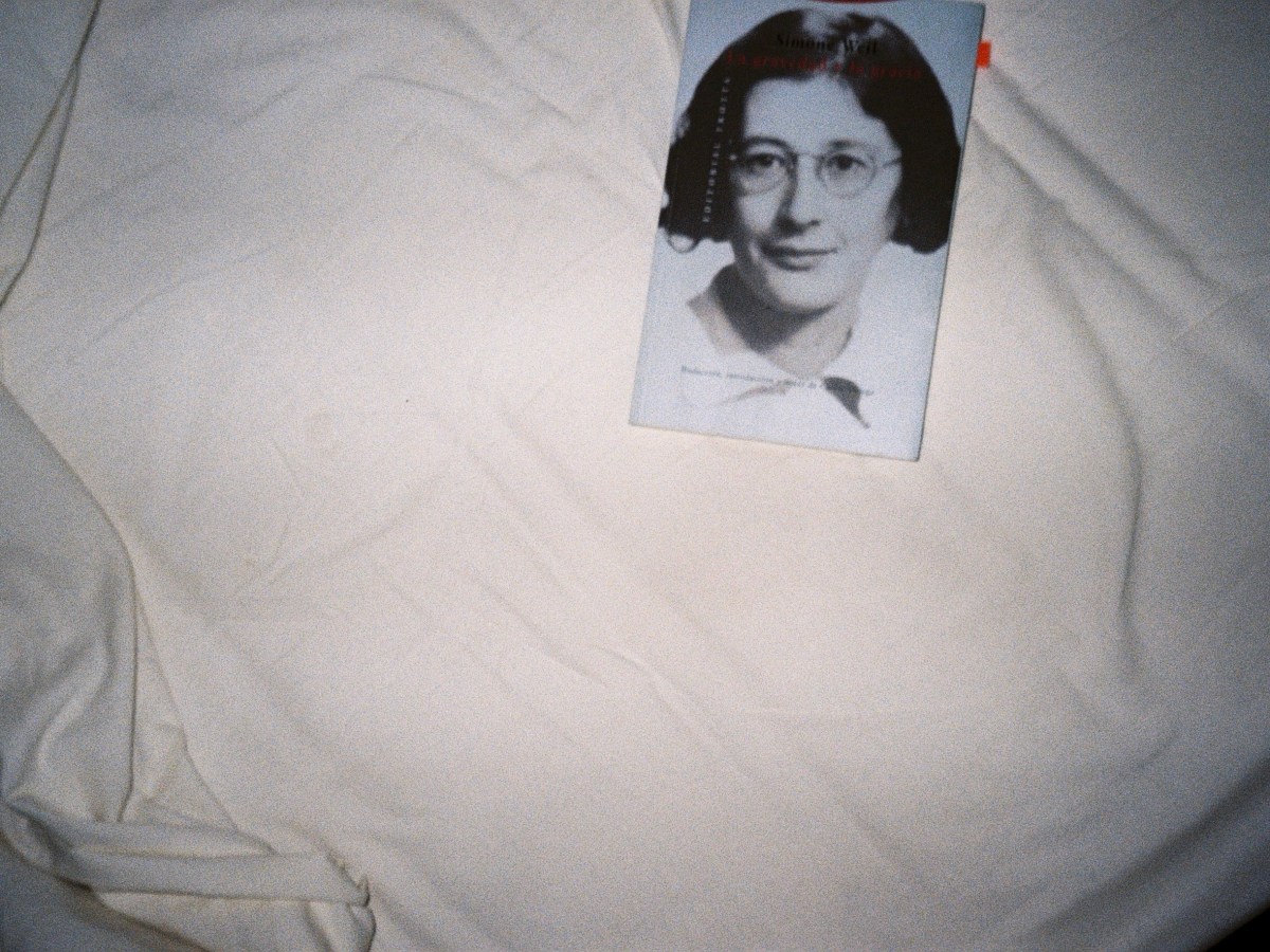 Apuntes fenomenológicos (II) 