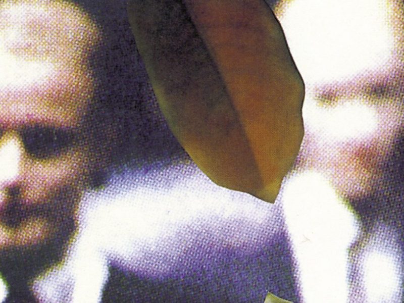 ‘El adversario’ o dar voz a un&nbsp;asesino