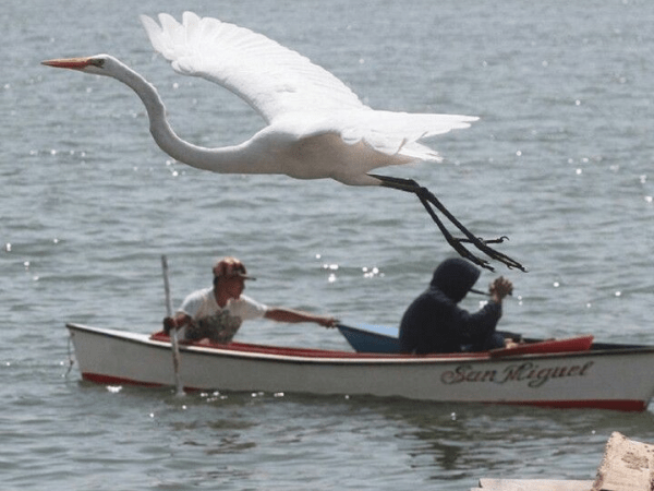 Madre patria portátil: cuando el cuerpo se vuelve mundo 